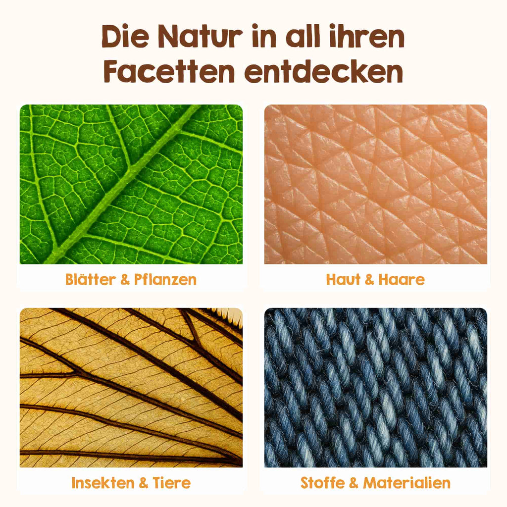 Vier detaillierte Nahaufnahmen – ein grünes Blatt, menschliche Haut, ein Insektenflügel und blauer Webstoff – sind jeweils mit den Begriffen „Blätter & Pflanzen“, „Haut & Haare“, „Insekten & Tiere“ sowie „Stoffe & Materialien“ beschriftet. Mit dem Edubini Abenteuer-Mikroskop (Geschenk-Starterset) von Edubini wird jedes Detail sichtbar – das ideale Geschenk für neugierige Kinder und kleine Forscher!.