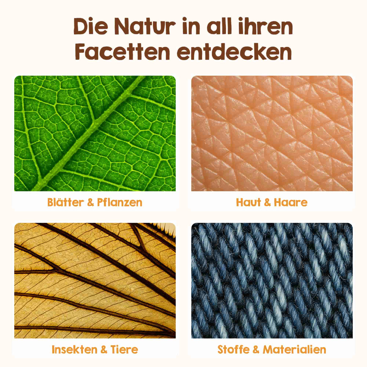 Vier detaillierte Nahaufnahmen – ein grünes Blatt, menschliche Haut, ein Insektenflügel und blauer Webstoff – sind jeweils mit den Begriffen „Blätter & Pflanzen“, „Haut & Haare“, „Insekten & Tiere“ sowie „Stoffe & Materialien“ beschriftet. Mit dem Edubini Abenteuer-Mikroskop (Geschenk-Starterset) von Edubini wird jedes Detail sichtbar – das ideale Geschenk für neugierige Kinder und kleine Forscher!.