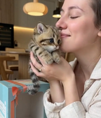Interaktive Roboter-Katze mit Bewegung & Sound – Plüsch-Kätzchen